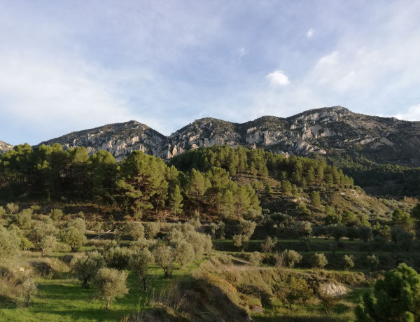 Chalet adosado en venta en Cuatretondeta