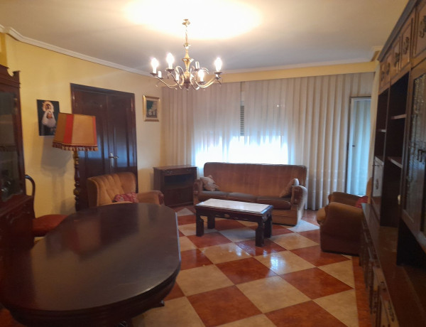 Piso en venta en paseo de Canalejas