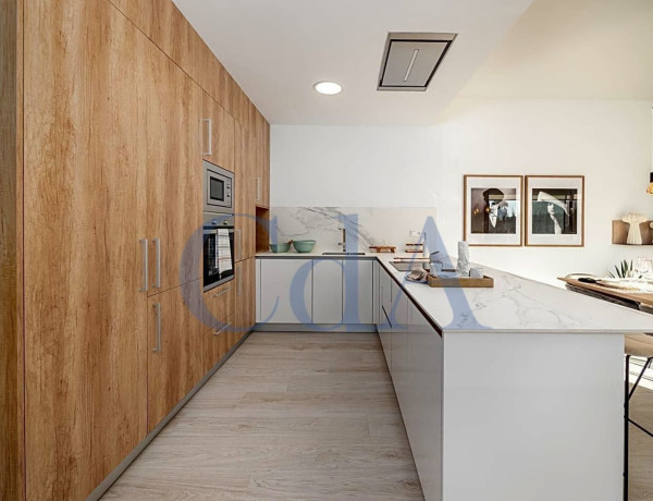 Casa o chalet independiente en venta en Algorfa