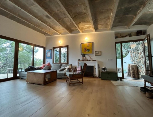 Alquiler de Piso en Cala Major