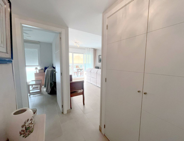 Alquiler de Piso en Artista Remigio Soler Lopez