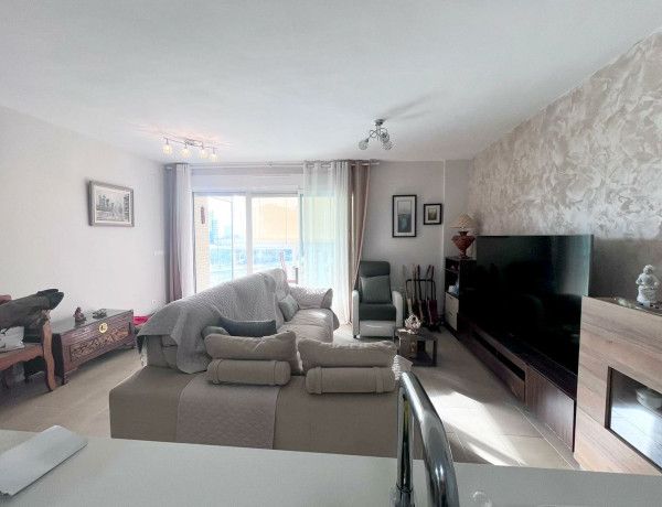 Alquiler de Piso en Artista Remigio Soler Lopez