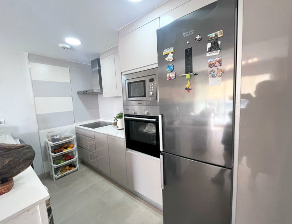 Alquiler de Piso en Artista Remigio Soler Lopez