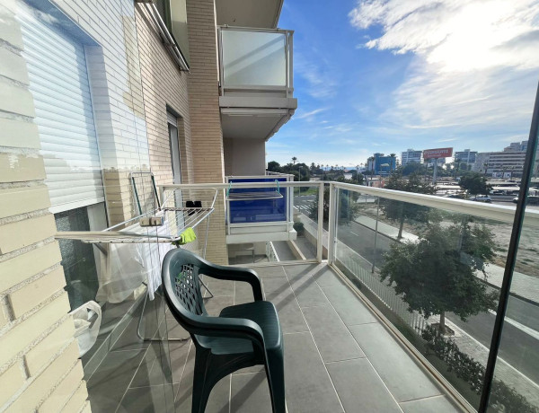 Alquiler de Piso en Artista Remigio Soler Lopez