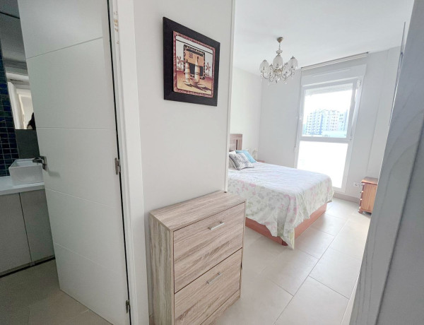 Alquiler de Piso en Artista Remigio Soler Lopez