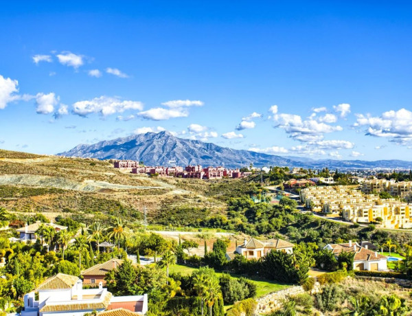 Casa o chalet independiente en venta en Los Flamingos