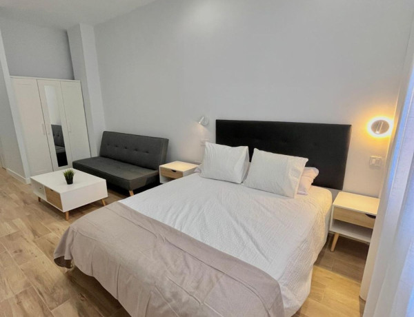 Alquiler de Estudio en calle Torregrosa