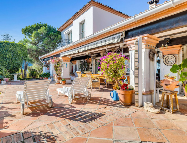 Casa o chalet independiente en venta en Torrevigía, 4