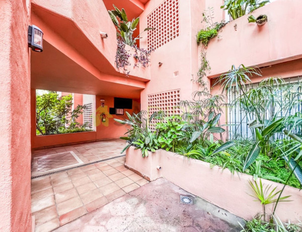 Alquiler de Casa o chalet independiente en El Oasis de Marbella