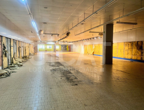 Alquiler de Local en calle del Pintor Alsamora