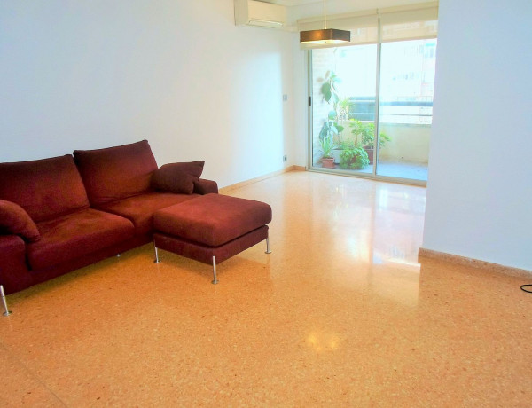 Alquiler de Piso en avenida de Blasco Ibáñez, 125