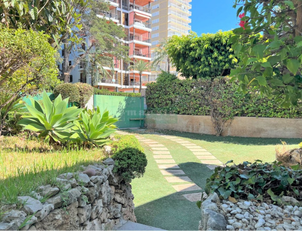 Terreno en venta en avenida Ferrandis Salvador, 123