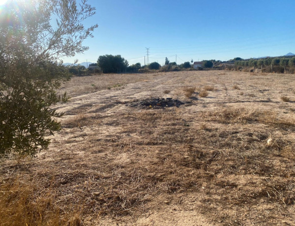 Finca rústica en venta en Algoda-Matola-Llano de San José