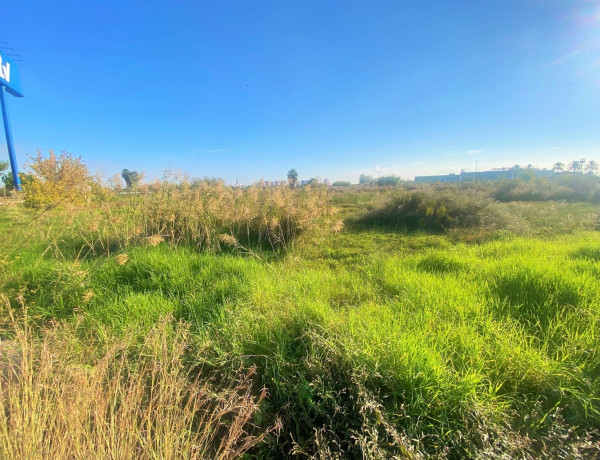 Terreno en venta en Partida Drago, 2