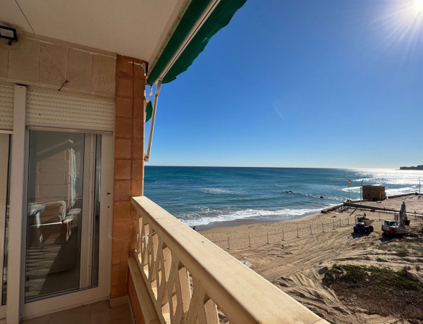 Alquiler de Piso en Gaspar Perrelló