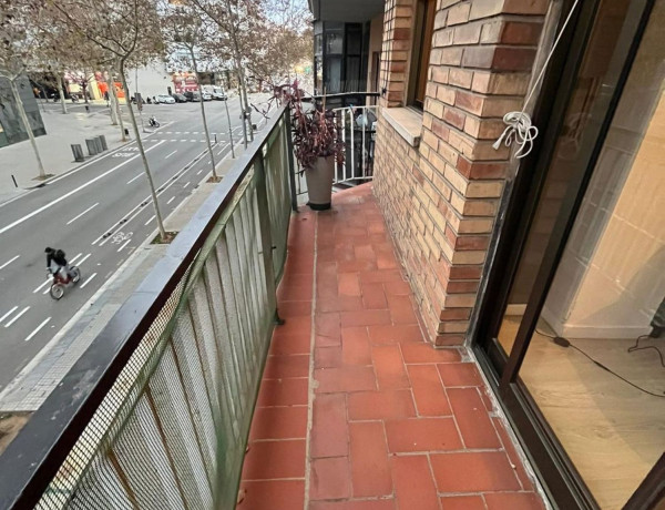 Alquiler de Piso en Bac de roda