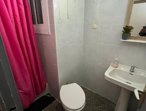 Alquiler de Piso en Bac de roda