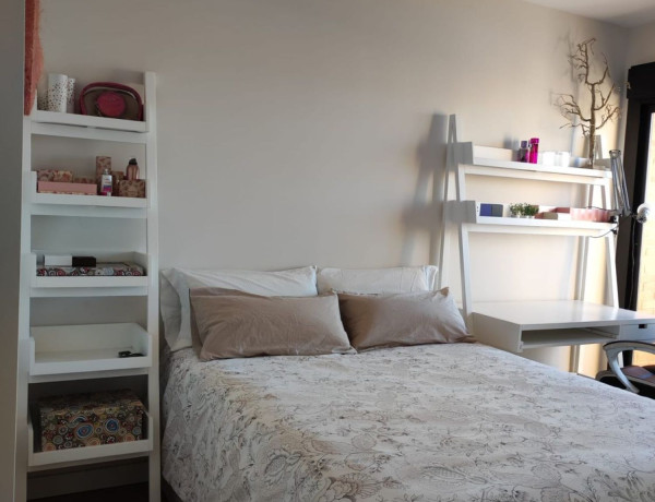 Alquiler de Piso en avenida José Jornet Navarro