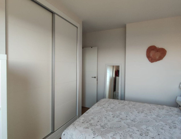 Alquiler de Piso en avenida José Jornet Navarro