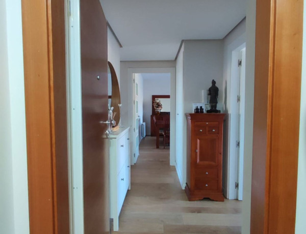 Alquiler de Piso en avenida José Jornet Navarro