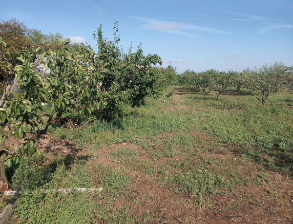 Terreno en venta en Diseminado Alberite, 377