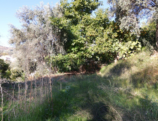 Terreno en venta en calle Carretera