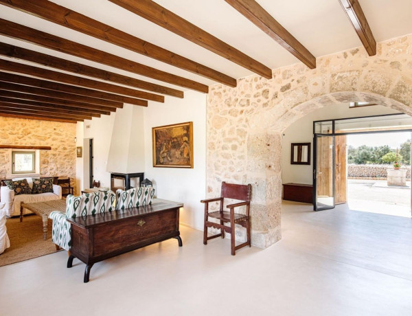 Alquiler de Casa o chalet independiente en Son Amonda - Reis Catòlics