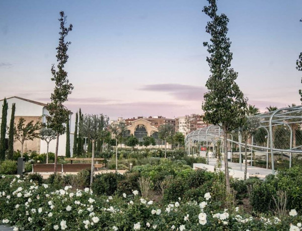 Piso en venta en calle del Mestre Sosa