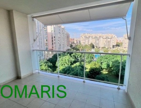 Alquiler de Piso en avenida Catedrático Abelardo Rigual