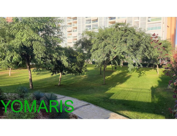 Alquiler de Piso en avenida Catedrático Abelardo Rigual