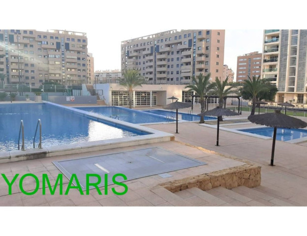 Alquiler de Piso en avenida Catedrático Abelardo Rigual