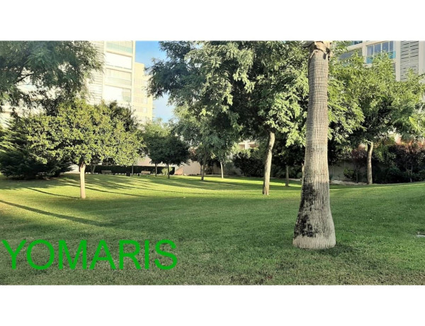 Alquiler de Piso en avenida Catedrático Abelardo Rigual