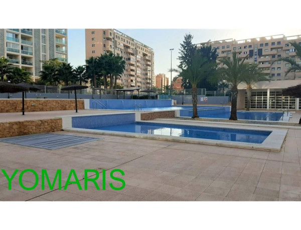 Alquiler de Piso en avenida Catedrático Abelardo Rigual