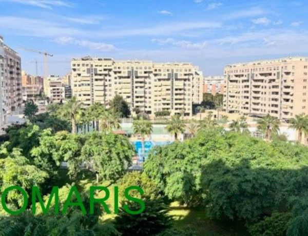 Alquiler de Piso en avenida Catedrático Abelardo Rigual