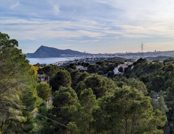 Terreno en venta en calle la Guatla