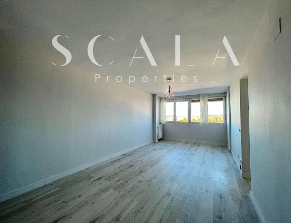 Alquiler de Ático en calle del Corregidor Juan de Bobadilla