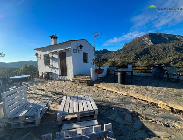 Finca rústica en venta en La Vega