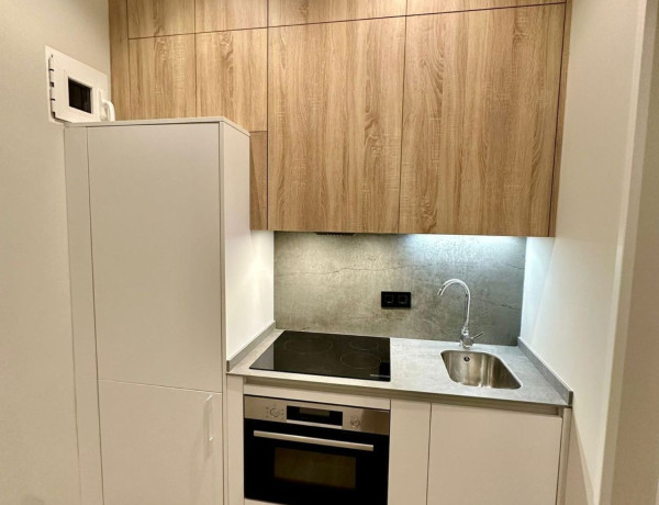 Alquiler de Piso en pasaje de Pradillo, 12