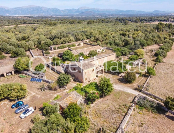 Finca rústica en venta en Lloret de Vista Alegre