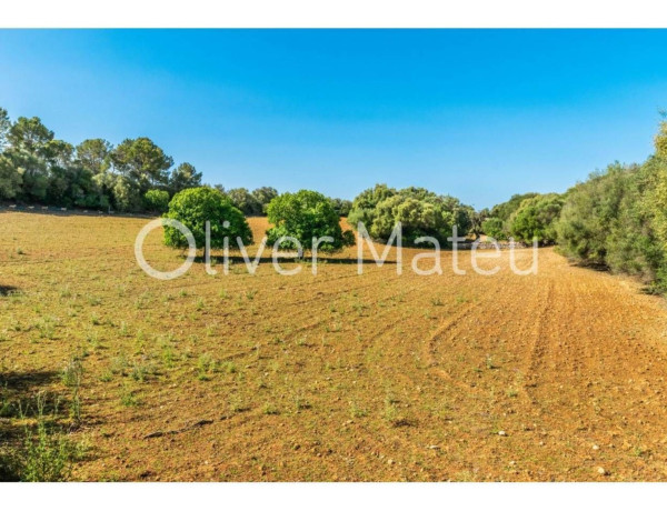 Finca rústica en venta en Lloret de Vista Alegre