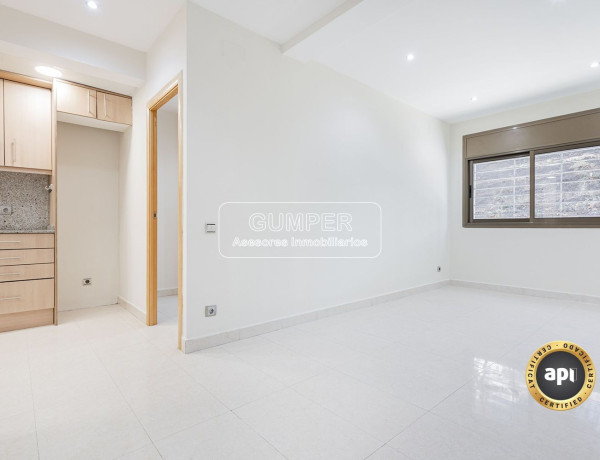 Alquiler de Local en albert llanes