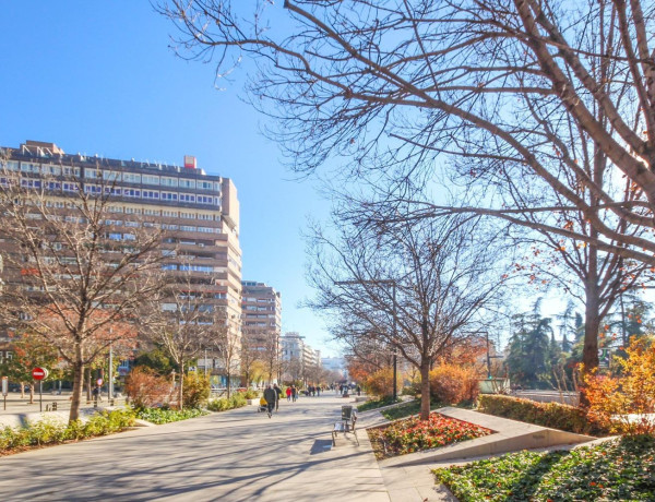 Piso en venta en Los Pajaritos