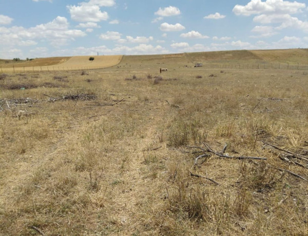 Terreno en venta en camino de Madrid s/n