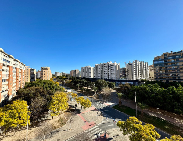 Alquiler de Piso en calle Enric Valor, 2