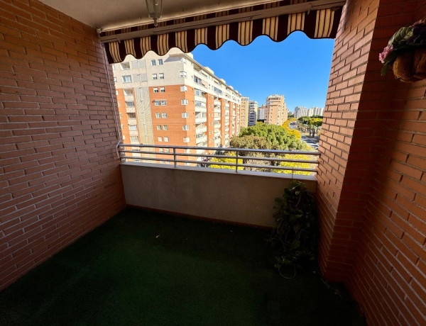 Alquiler de Piso en calle Enric Valor, 2