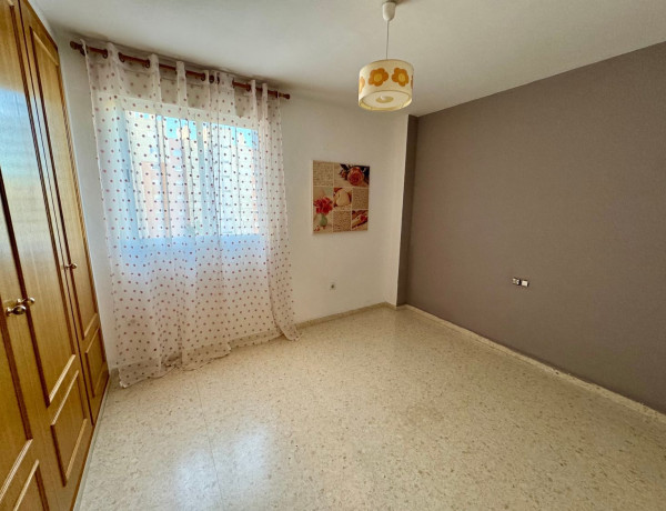 Alquiler de Piso en calle Enric Valor, 2