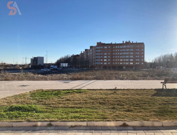 Alquiler de Piso en paseo Obregón