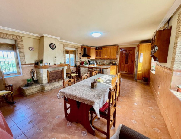 Casa o chalet independiente en venta en Orihuela Ciudad