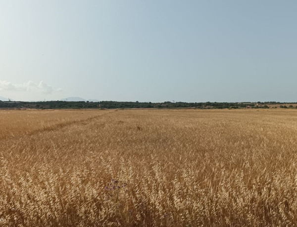 Terreno en venta en Diseminado s/n