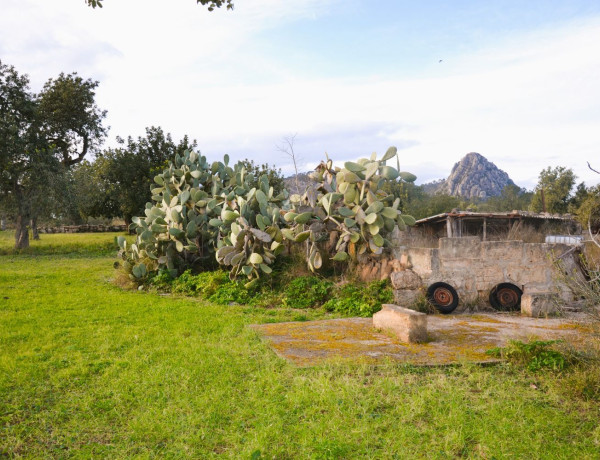 Finca rústica en venta en Lugar Poligono 11